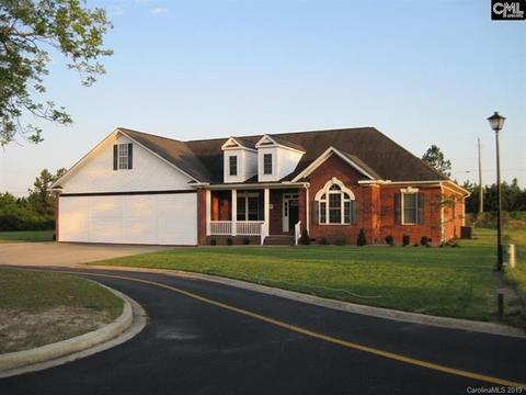 231 Cirrus Ln, Gilbert, SC 29054 photo 5