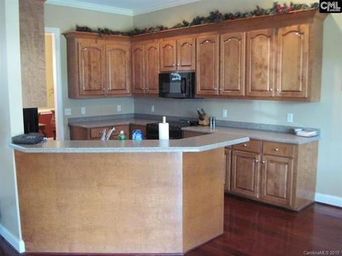 231 Cirrus Ln, Gilbert, SC 29054 photo 9