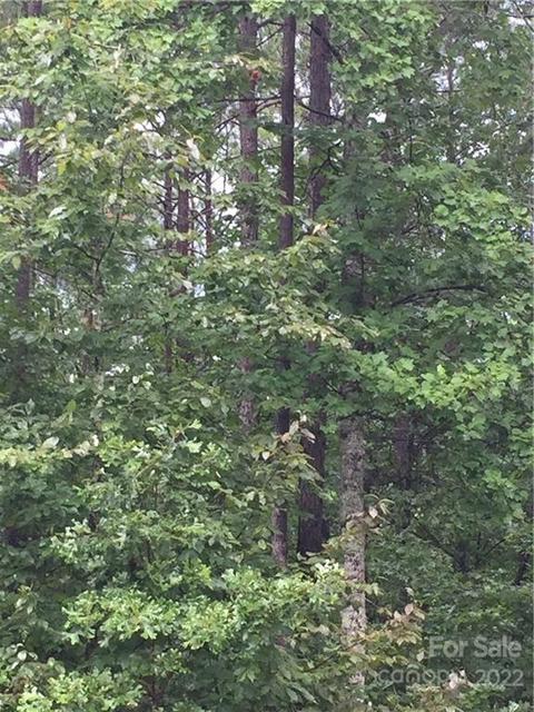 Mountain Creek Road, Rutherfordton, NC 28139