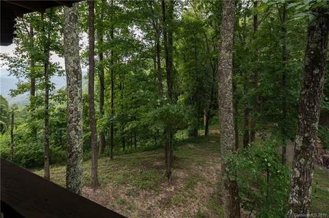 1004 Rector Branch Rd, Marshall, NC 28753 photo 18