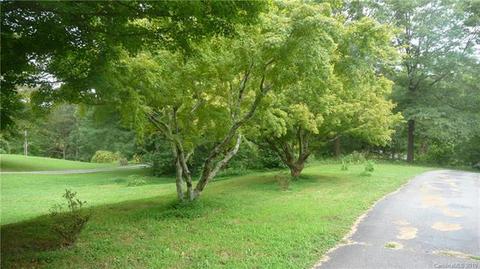1624 Howard Gap Rd, Tryon, NC 28782 photo 2