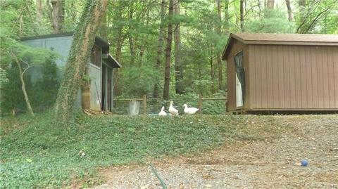 1624 Howard Gap Rd, Tryon, NC 28782 photo 23