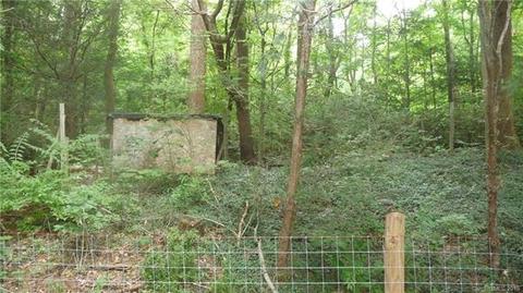 1624 Howard Gap Rd, Tryon, NC 28782 photo 25