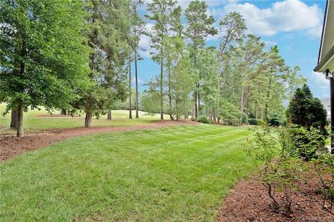 17616 River Ford Dr, Davidson, NC 28036 photo 38