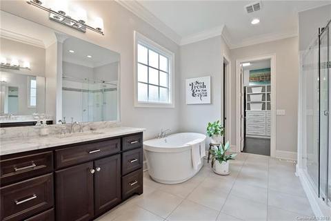17616 River Ford Dr, Davidson, NC 28036 photo 20