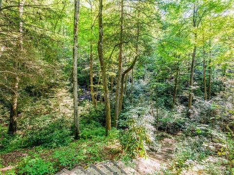 33 Creek Source Ln, Saluda, NC 28773 photo 20