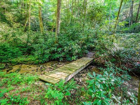 33 Creek Source Ln, Saluda, NC 28773 photo 7