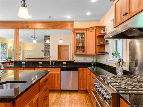 33 Creek Source Ln, Saluda, NC 28773 photo 31