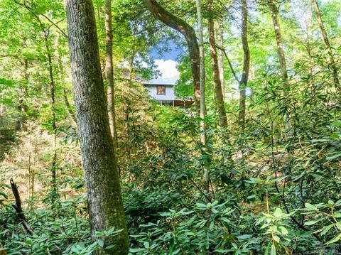 33 Creek Source Ln, Saluda, NC 28773 photo 15