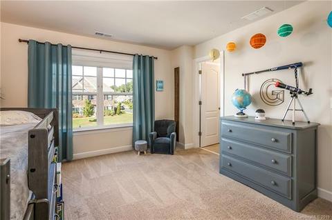 2084 Topaz Plz, Davidson, NC 28036 photo 18