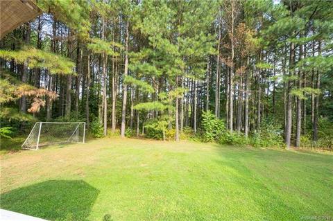 463 Pine Forest Ct, Vale, NC 28168 photo 4