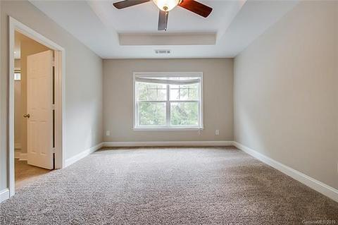 234 River Clay Rd, Fort Mill, SC 29708 photo 8