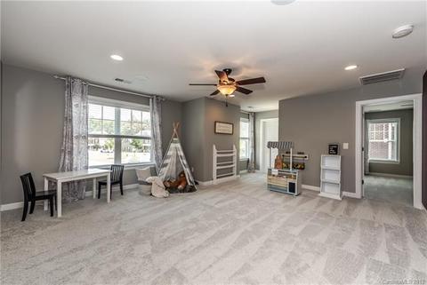 10993 Slate Ter, Davidson, NC 28036 photo 21