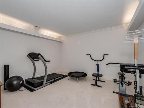 18951 Peninsula Point Dr, Cornelius, NC 28031 photo 31