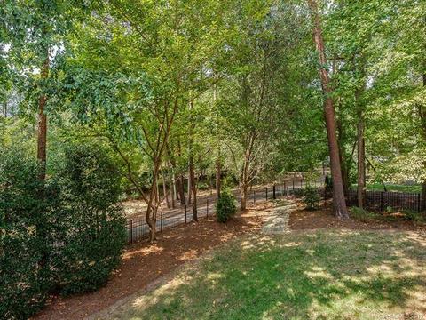 18951 Peninsula Point Dr, Cornelius, NC 28031 photo 34