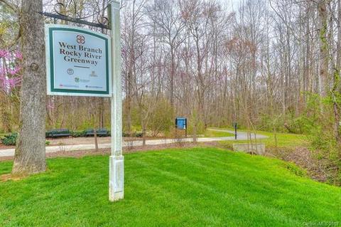 18445 Carnegie Overlook Blvd, Davidson, NC 28036 photo 34