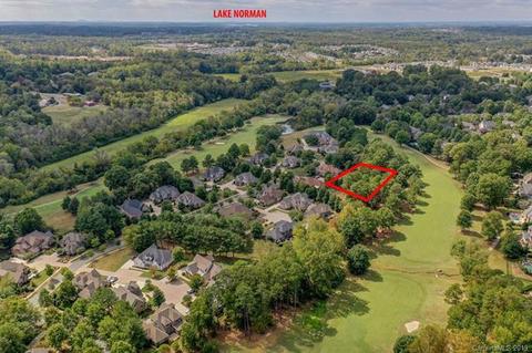 18445 Carnegie Overlook Blvd, Davidson, NC 28036 photo 30