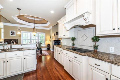 18445 Carnegie Overlook Blvd, Davidson, NC 28036 photo 9
