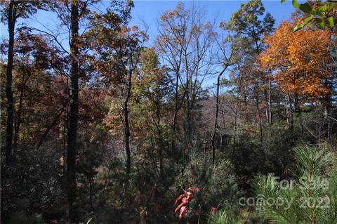 9 Kelly Mountain Road #9, Brevard, NC 28712