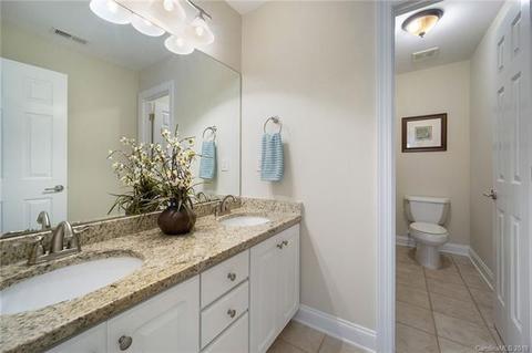 18340 Dembridge Dr, Davidson, NC 28036 photo 29