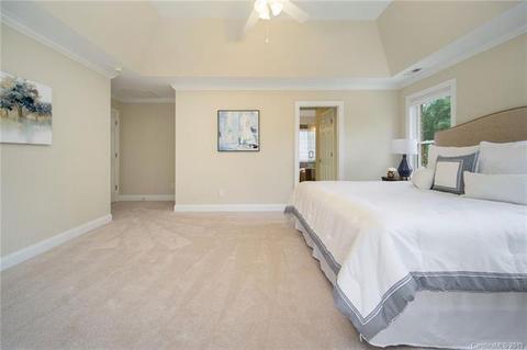 18340 Dembridge Dr, Davidson, NC 28036 photo 24