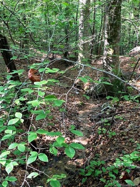 300 Camp Mccall Rd, Bostic, NC 28018 photo 7
