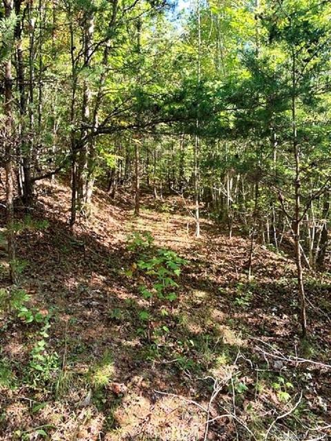 300 Camp Mccall Rd, Bostic, NC 28018 photo 10