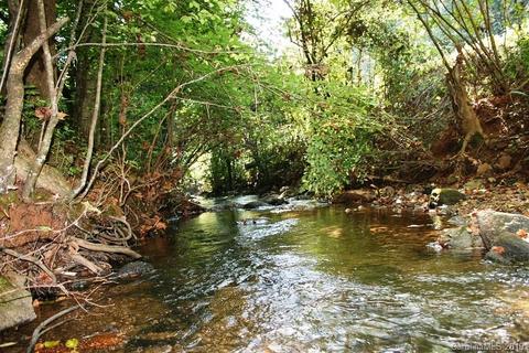 300 Camp Mccall Rd, Bostic, NC 28018 photo 5