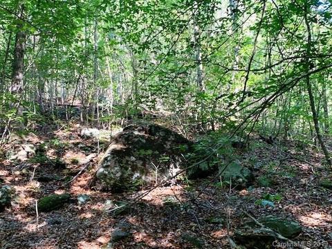 300 Camp Mccall Rd, Bostic, NC 28018 photo 9