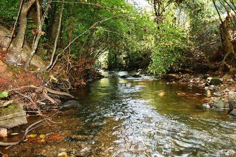 300 Camp Mccall Rd, Bostic, NC 28018 photo 4