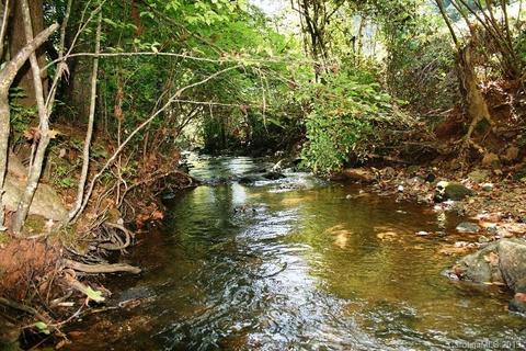 300 Camp Mccall Rd, Bostic, NC 28018 photo 1