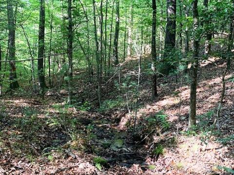 300 Camp Mccall Rd, Bostic, NC 28018 photo 8
