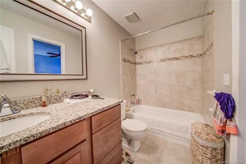 18863 Vineyard Point Ln, Cornelius, NC 28031 photo 18