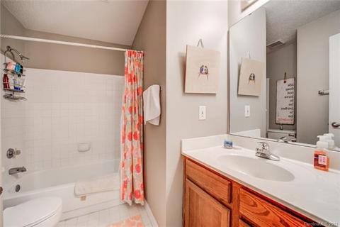 18863 Vineyard Point Ln, Cornelius, NC 28031 photo 21
