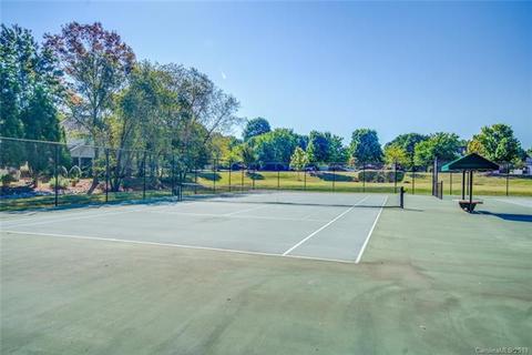 18863 Vineyard Point Ln, Cornelius, NC 28031 photo 25