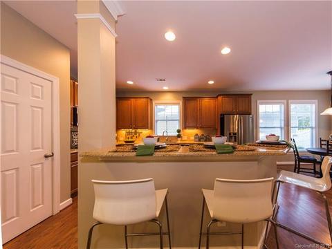 17722 Harbor Walk Dr, Cornelius, NC 28031 photo 13