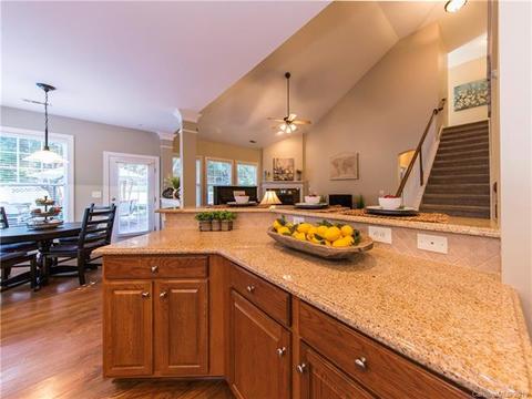17722 Harbor Walk Dr, Cornelius, NC 28031 photo 17