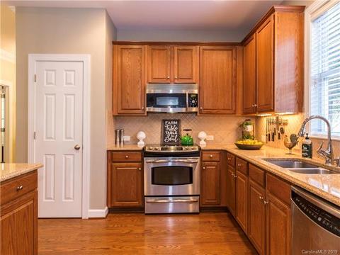 17722 Harbor Walk Dr, Cornelius, NC 28031 photo 16