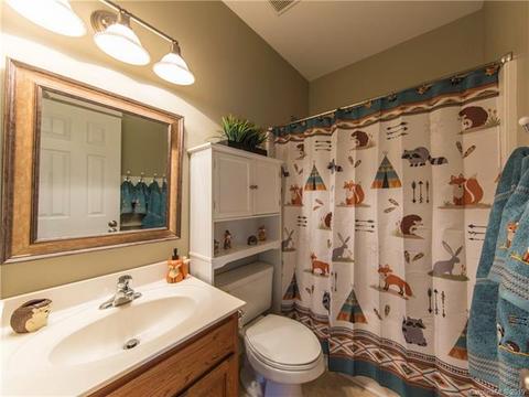 17722 Harbor Walk Dr, Cornelius, NC 28031 photo 37