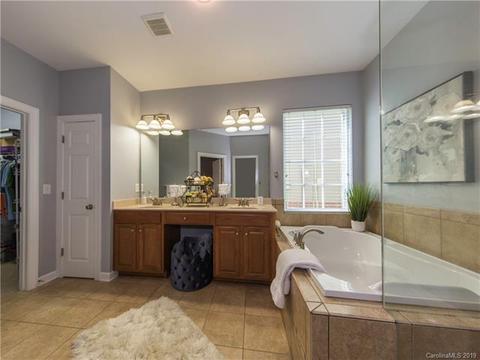 17722 Harbor Walk Dr, Cornelius, NC 28031 photo 28