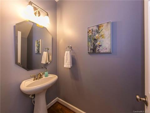 17722 Harbor Walk Dr, Cornelius, NC 28031 photo 29