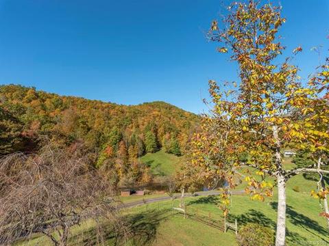 77 Dye Leaf Rd, Fairview, NC 28730 photo 21