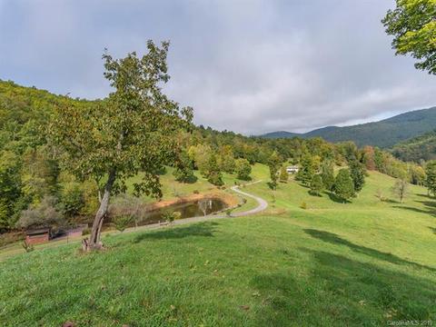 77 Dye Leaf Rd, Fairview, NC 28730 photo 4