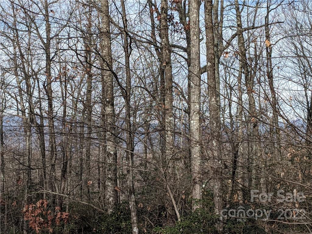 Rolling Ridge 13 Trl Unit 13  