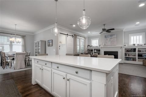 452 Beaty St, Davidson, NC 28036 photo 19