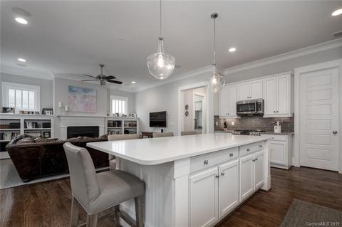 452 Beaty St, Davidson, NC 28036 photo 20