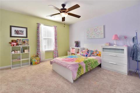 10984 Hat Creek Ln, Davidson, NC 28036 photo 19