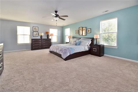 10984 Hat Creek Ln, Davidson, NC 28036 photo 13