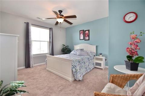 10984 Hat Creek Ln, Davidson, NC 28036 photo 17