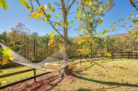 116 Fallen Tree Ln, Mill Spring, NC 28756 photo 8